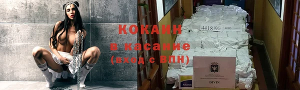 твердый Алексеевка